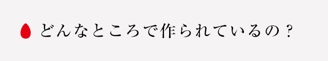 どんなところで作られているの？